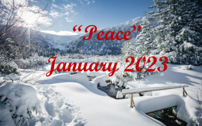 Peace January 2023